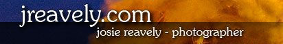 Welcome to jreavely.com